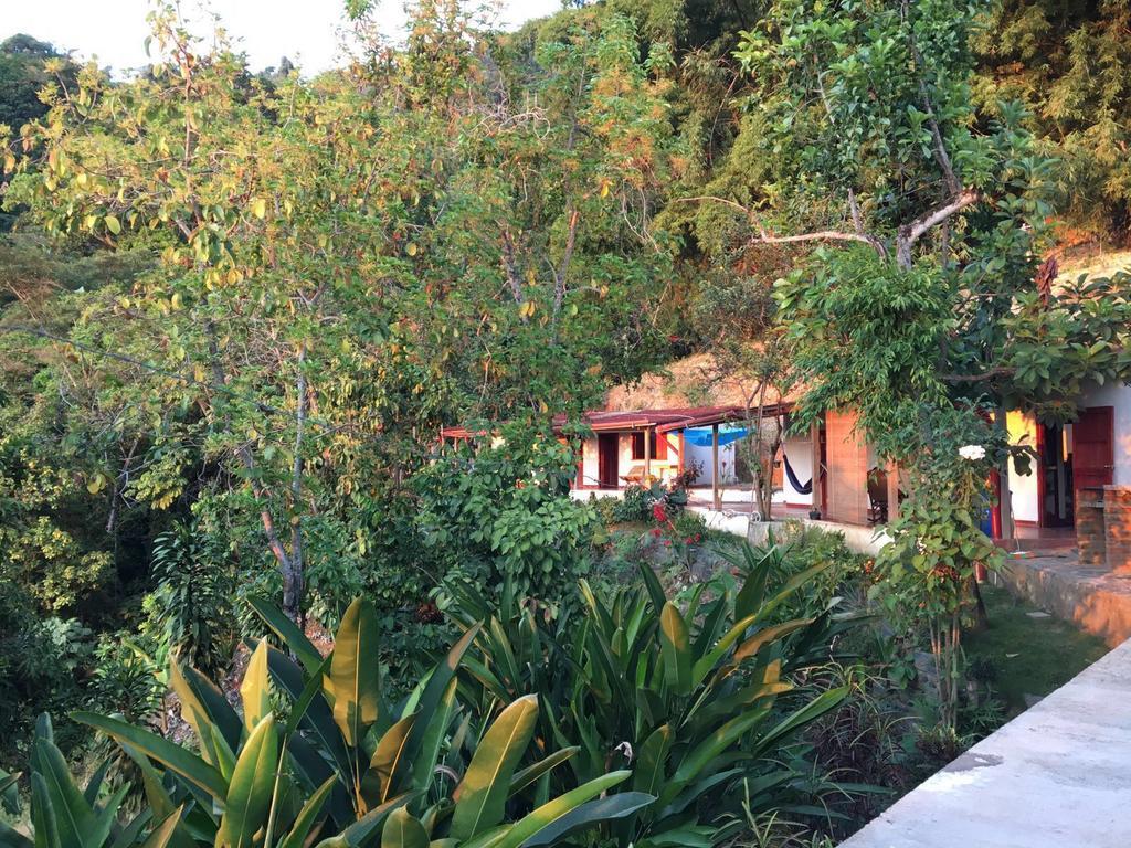 מינקה Finca San Rafael - Cafe Y Cacao מראה חיצוני תמונה