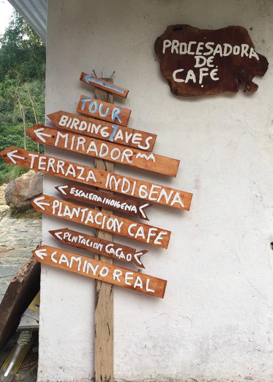 מינקה Finca San Rafael - Cafe Y Cacao מראה חיצוני תמונה