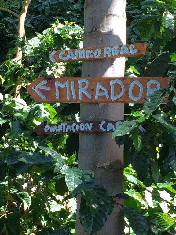 מינקה Finca San Rafael - Cafe Y Cacao מראה חיצוני תמונה